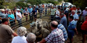 Gansbaai NGK Baardskeerdersbos 2015 Basaar 4